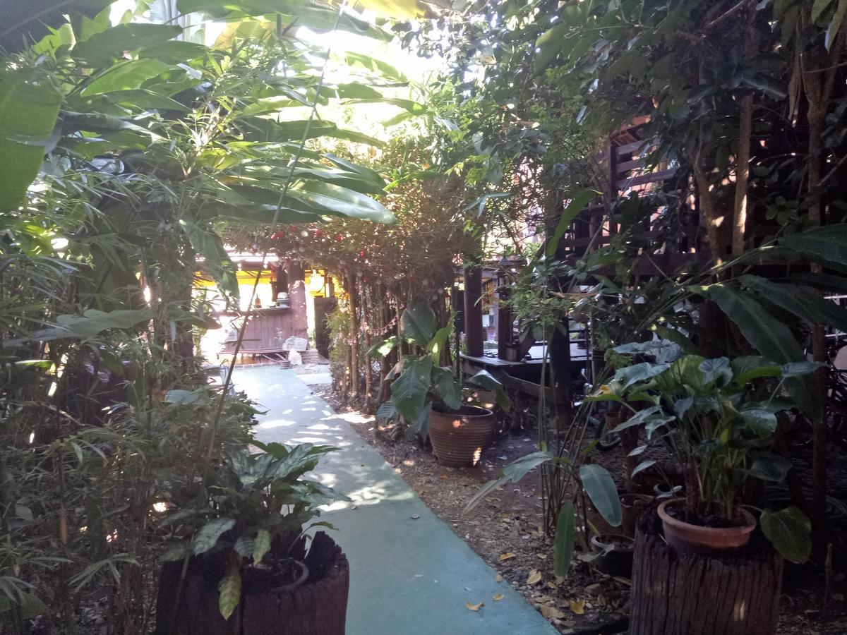 Tonnam Homestay チエンマイ エクステリア 写真