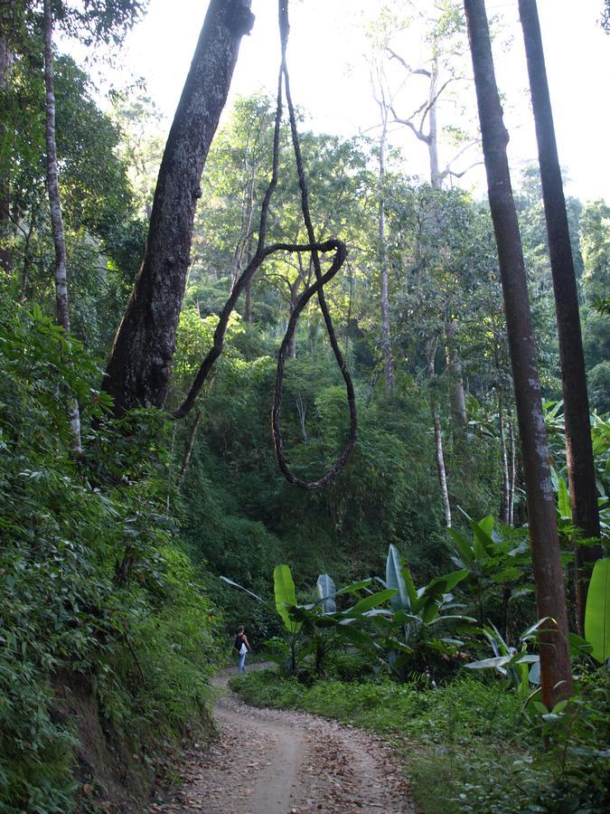 Tonnam Homestay チエンマイ エクステリア 写真